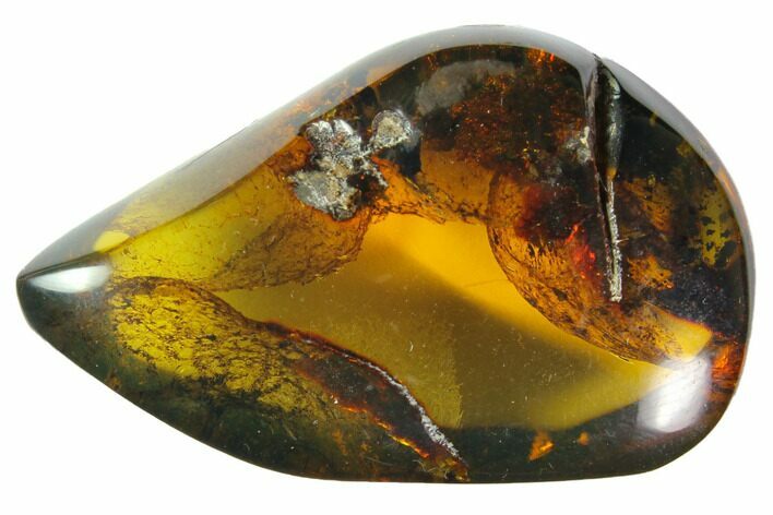 Polished Chiapas Amber ( g) - Mexico #114699